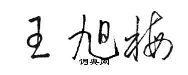 駱恆光王旭梅草書個性簽名怎么寫
