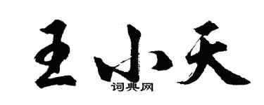 胡問遂王小天行書個性簽名怎么寫