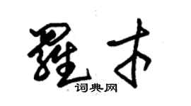 朱錫榮羅才草書個性簽名怎么寫