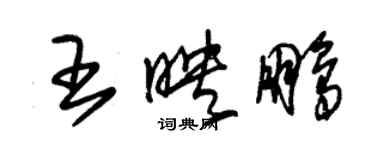 朱錫榮王映鵬草書個性簽名怎么寫