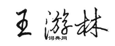 駱恆光王游林行書個性簽名怎么寫