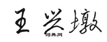 駱恆光王興墩行書個性簽名怎么寫