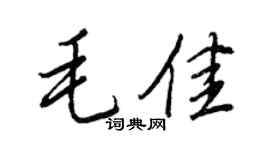 王正良毛佳行書個性簽名怎么寫
