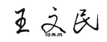 駱恆光王文民行書個性簽名怎么寫