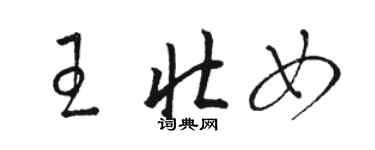 駱恆光王壯女草書個性簽名怎么寫