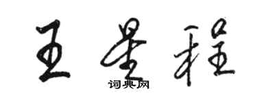 駱恆光王星程行書個性簽名怎么寫