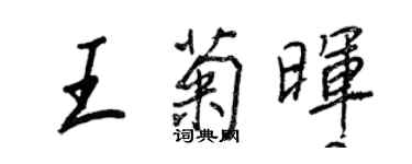 王正良王菊暉行書個性簽名怎么寫