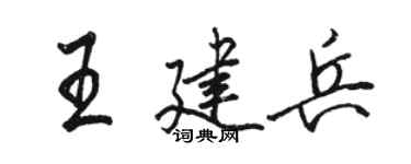駱恆光王建兵行書個性簽名怎么寫