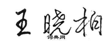 駱恆光王曉柏行書個性簽名怎么寫