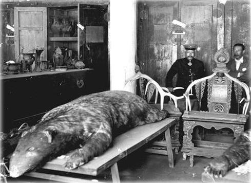 解密:日本老照片中的清寧宮怪獸之謎