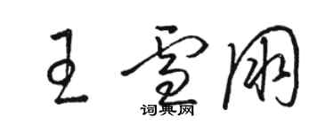 駱恆光王雪朋草書個性簽名怎么寫