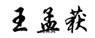 胡問遂王孟獲行書個性簽名怎么寫