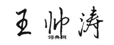 駱恆光王帥濤行書個性簽名怎么寫