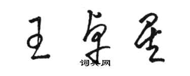 駱恆光王卓星草書個性簽名怎么寫