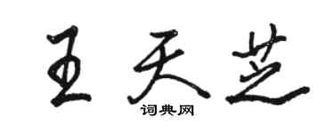 駱恆光王天芝行書個性簽名怎么寫