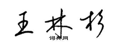 梁錦英王林杉草書個性簽名怎么寫