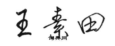 駱恆光王素田行書個性簽名怎么寫
