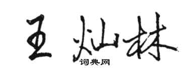 駱恆光王燦林行書個性簽名怎么寫