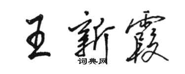 駱恆光王新霞行書個性簽名怎么寫