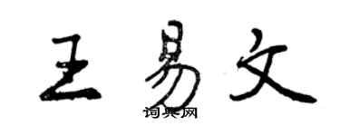 曾慶福王易文行書個性簽名怎么寫