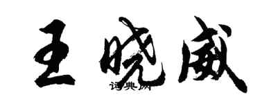 胡問遂王曉威行書個性簽名怎么寫