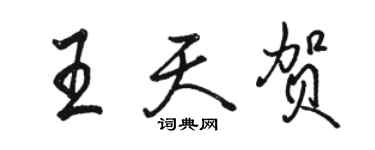 駱恆光王天賀行書個性簽名怎么寫