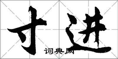 胡問遂寸進行書怎么寫