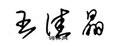 朱錫榮王佳晶草書個性簽名怎么寫