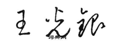駱恆光王光銀草書個性簽名怎么寫