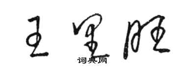 駱恆光王里旺草書個性簽名怎么寫