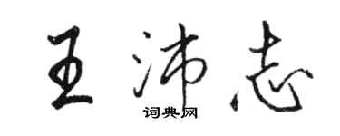 駱恆光王沛志行書個性簽名怎么寫