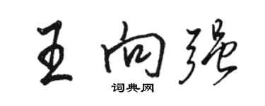 駱恆光王向強行書個性簽名怎么寫