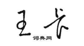 駱恆光王卡草書個性簽名怎么寫