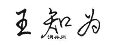 駱恆光王知為行書個性簽名怎么寫