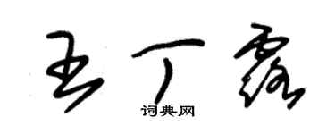 朱錫榮王丁露草書個性簽名怎么寫