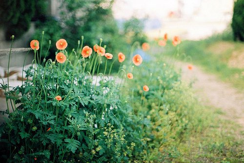 唯美的愛情說說短語