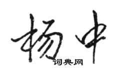 駱恆光楊中行書個性簽名怎么寫