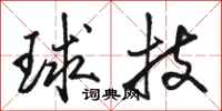駱恆光球技行書怎么寫