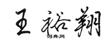 駱恆光王裕翔行書個性簽名怎么寫
