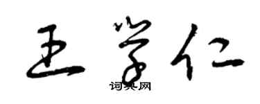 曾慶福王學仁草書個性簽名怎么寫