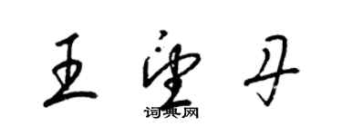 梁錦英王望丹草書個性簽名怎么寫