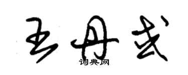 朱錫榮王丹或草書個性簽名怎么寫