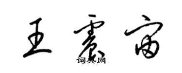 梁錦英王震宙草書個性簽名怎么寫