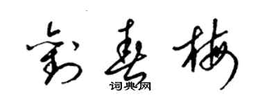 梁錦英劉春梅草書個性簽名怎么寫