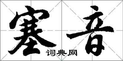 胡問遂塞音行書怎么寫