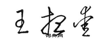 駱恆光王想愛草書個性簽名怎么寫