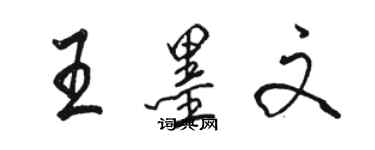 駱恆光王墨文行書個性簽名怎么寫