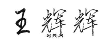 駱恆光王輝輝行書個性簽名怎么寫