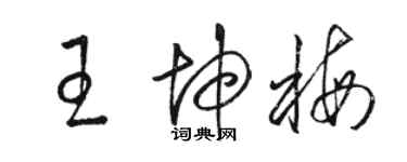 駱恆光王坤梅草書個性簽名怎么寫