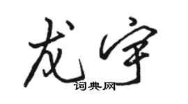 駱恆光龍宇行書個性簽名怎么寫
